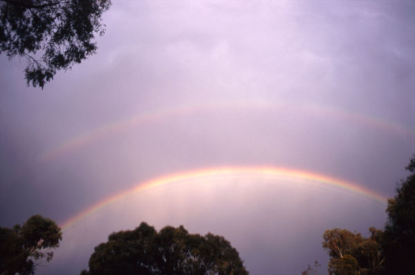 Canberra Rainbow